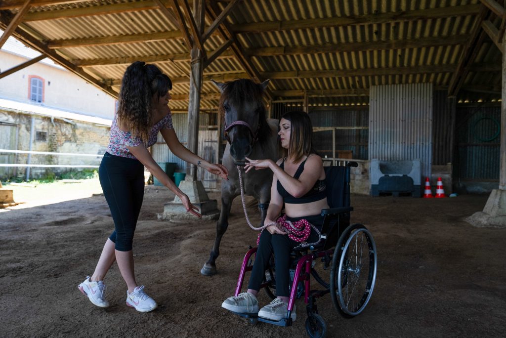 Étapes de la séance équithérapie stages et actualités