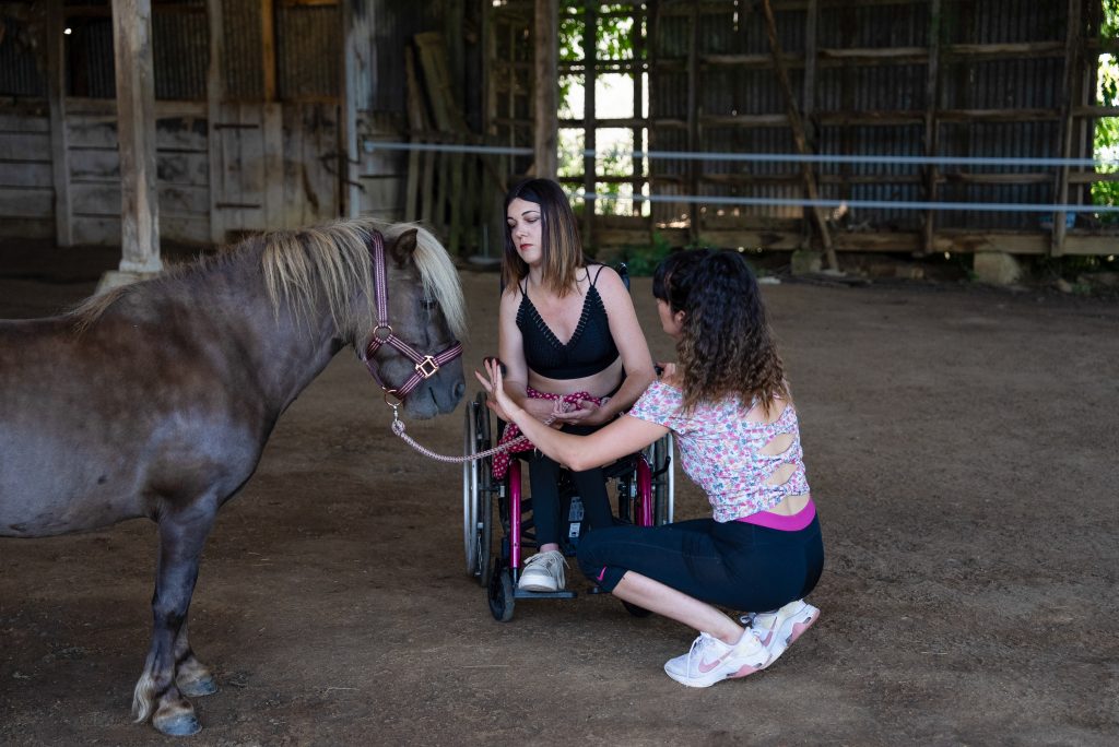 Étapes de la séance équithérapie stages et actualités