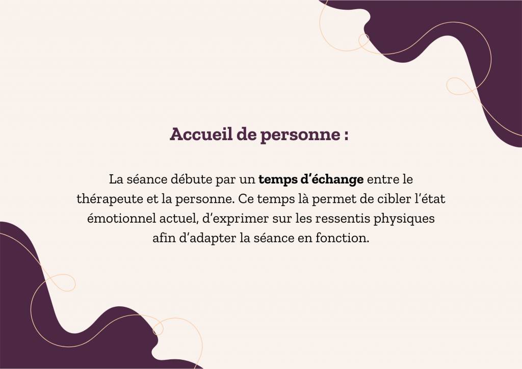 Étapes de la séance équithérapie stages et actualités