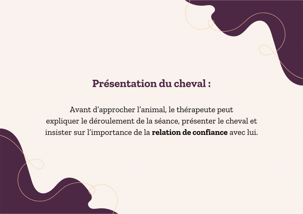 Étapes de la séance équithérapie stages et actualités