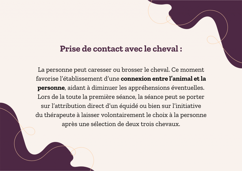 Étapes de la séance équithérapie stages et actualités