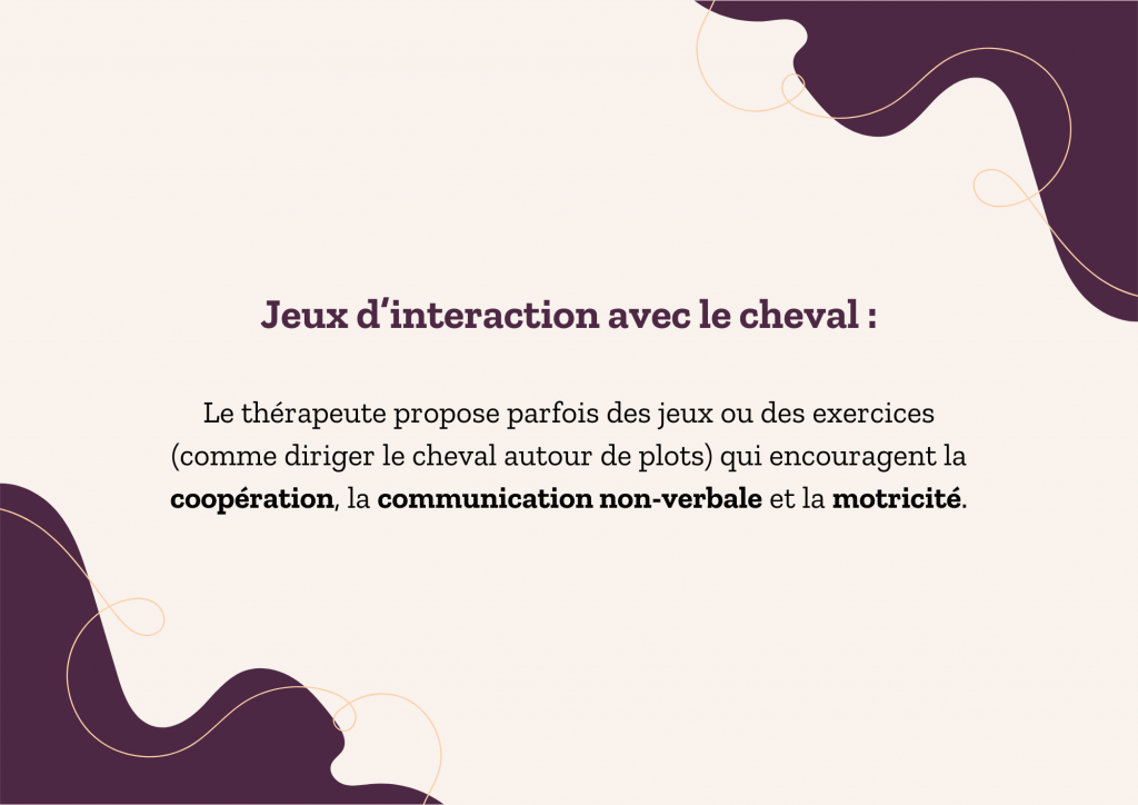 Étapes de la séance équithérapie stages et actualités