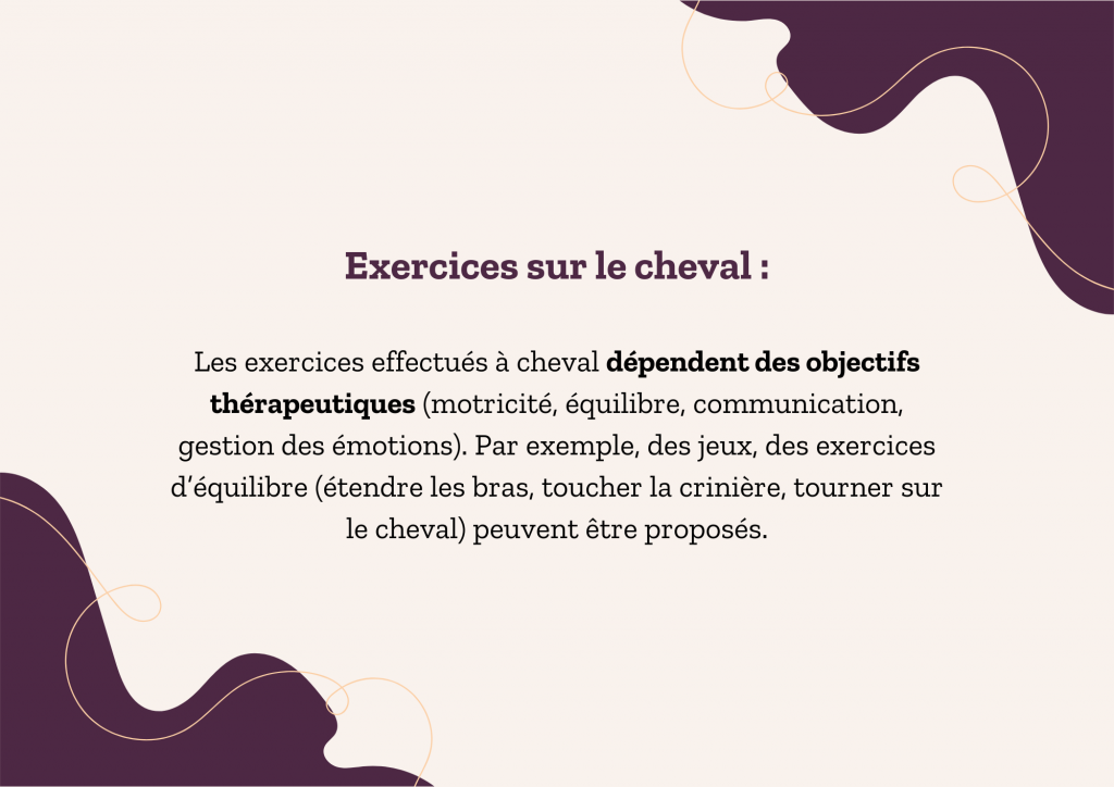 Étapes de la séanceSéance d’équithérapie dans les Hautes-Pyrénées avec Equi'Home
