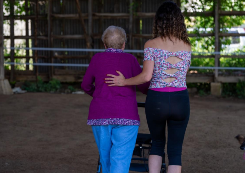 Étapes de la séance équithérapie stages et actualités