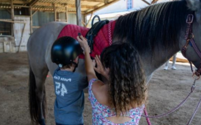 Étapes de la séance Séance d’équithérapie dans les Hautes-Pyrénées avec Equi'Home