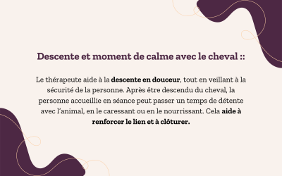 Étapes de la séance Séance d’équithérapie dans les Hautes-Pyrénées avec Equi'Home