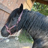 2AA3036F-4D64-49A3-84ED-D297F86E5052