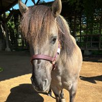 46B98012-23E3-42DF-A147-BCC09FCCF55A