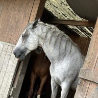 D886651A-5718-4558-A825-6643EEB5CB31