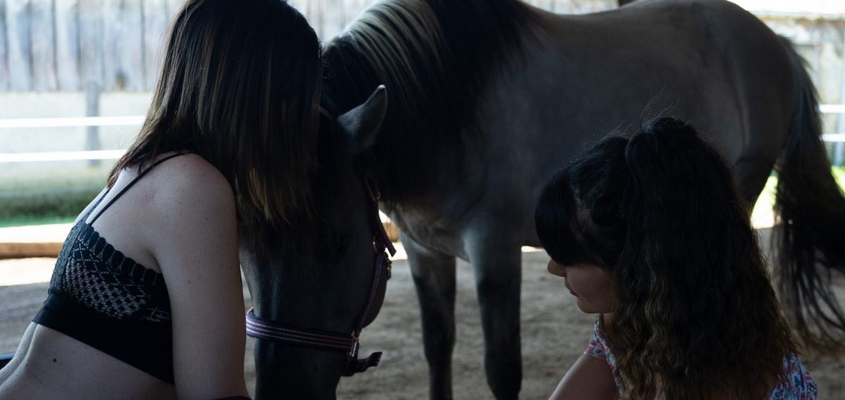 Séance d’équithérapie dans les Hautes-Pyrénées avec Equi'Home