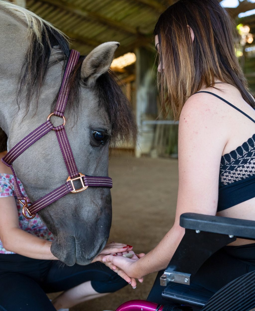 Séance d’équithérapie dans les Hautes-Pyrénées avec Equi'Home