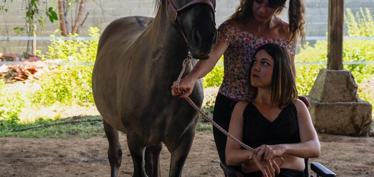 Séance d’équithérapie dans les Hautes-Pyrénées avec Equi'Home