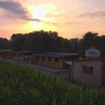 Centre équestre de L'Éperon près de Tarbes – Équitation et bien-être
