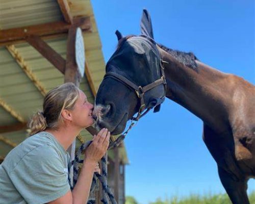 Centre équestre de L'Éperon près de Tarbes – Équitation et bien-être